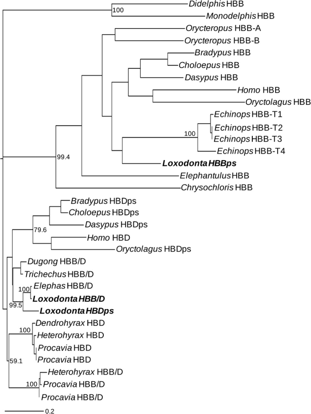 FIG. 6.—