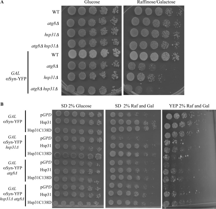 FIGURE 10.