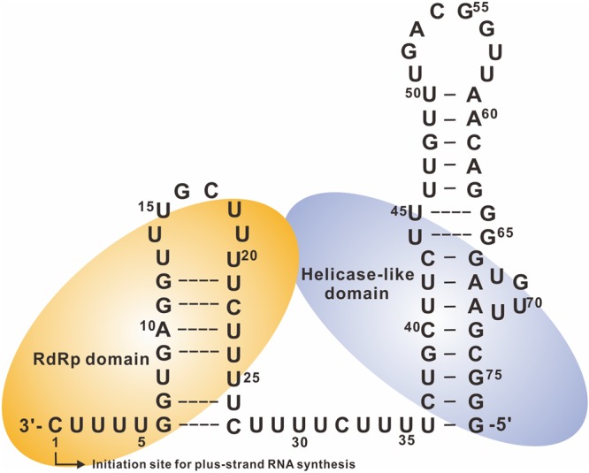 FIGURE 3