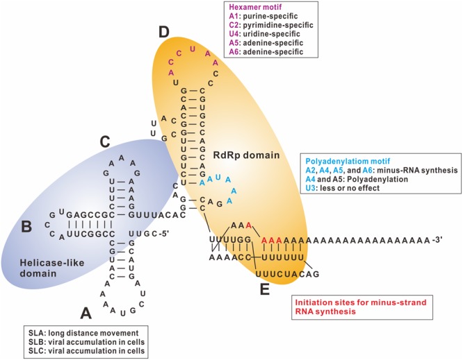 FIGURE 2