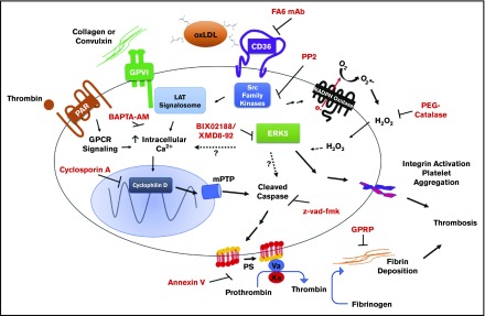 Figure 7.