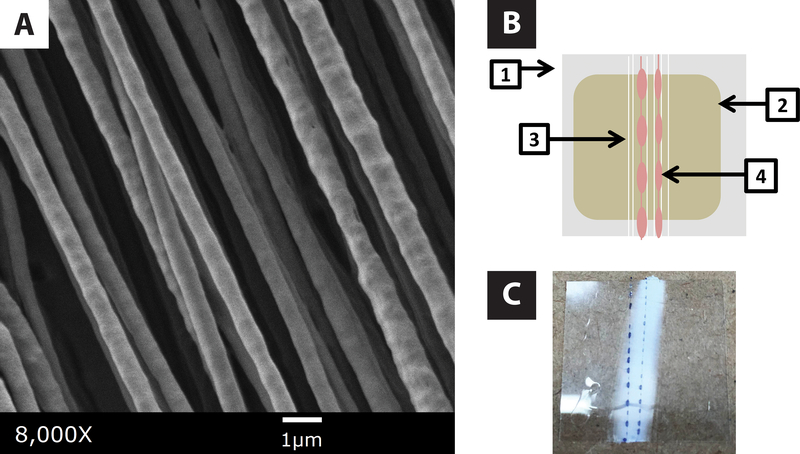 Figure 2.