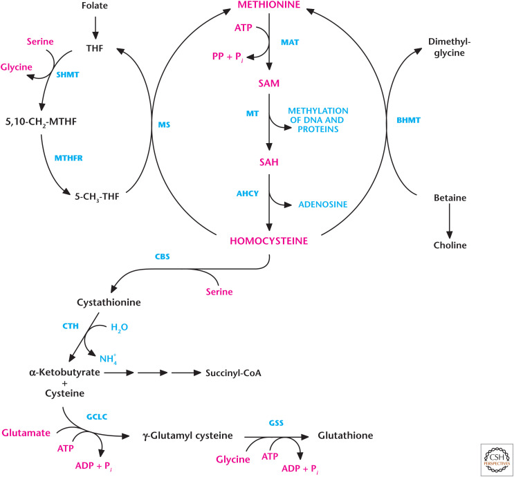 Figure 11.