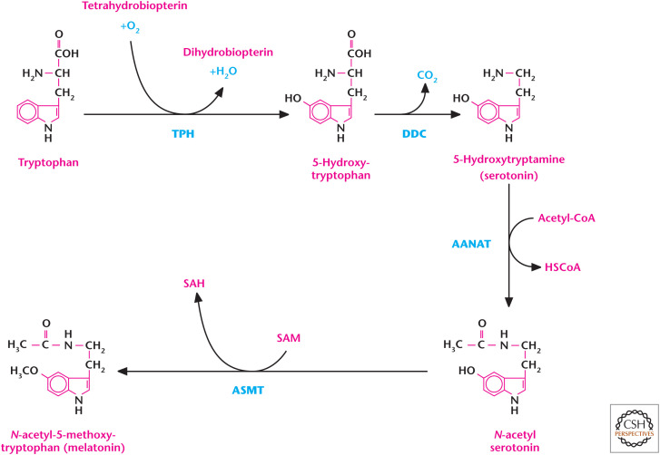 Figure 9.