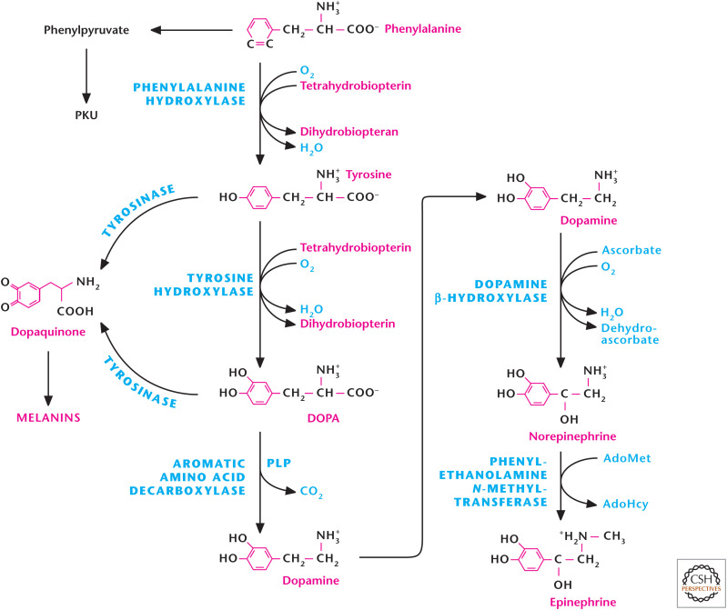 Figure 10.