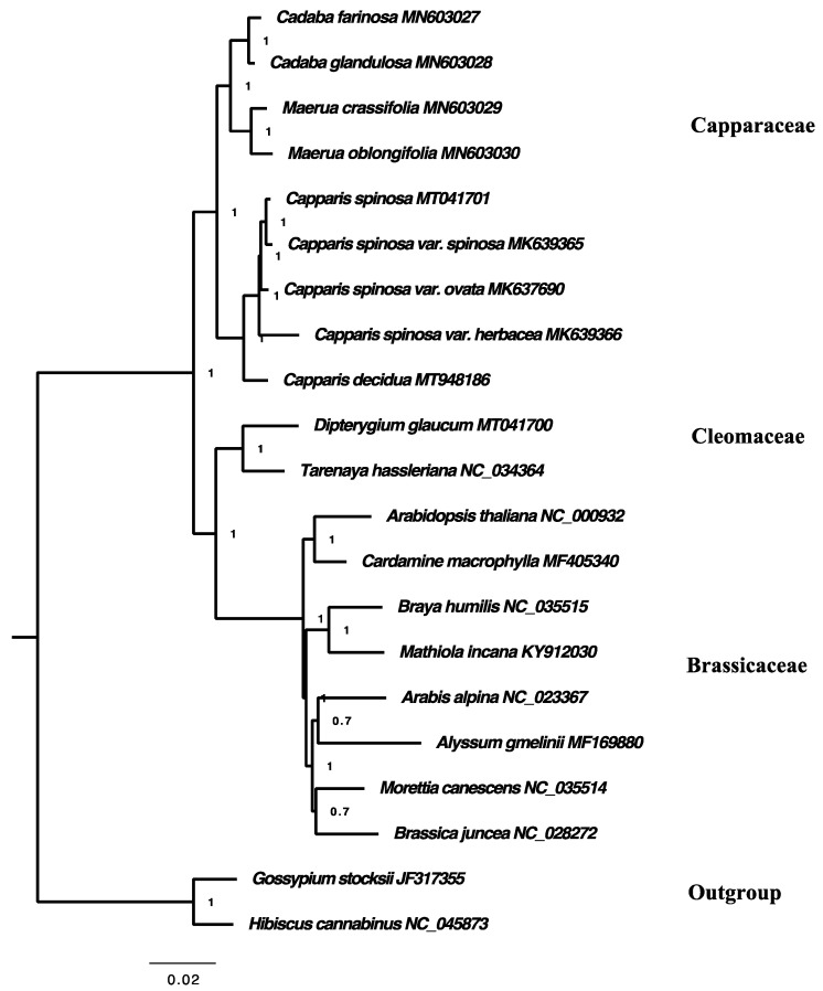 Figure 9