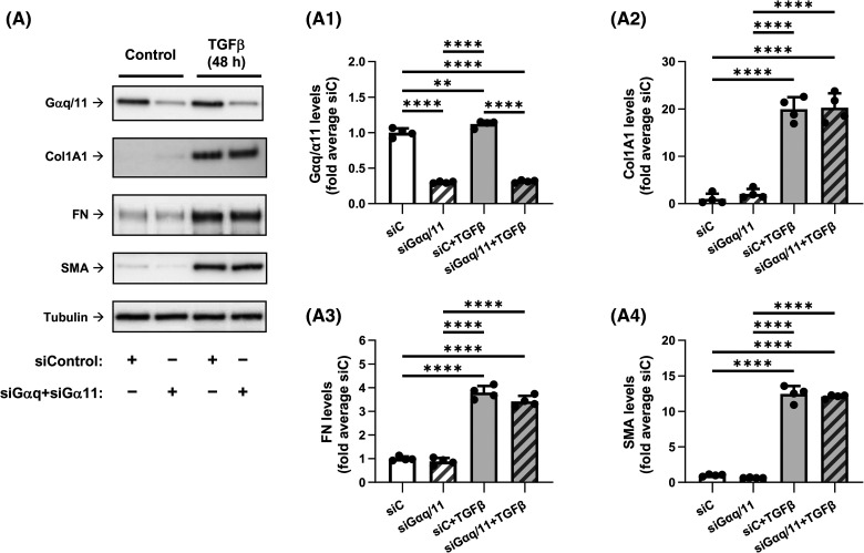 Figure 3.