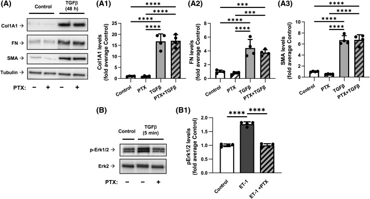 Figure 2.