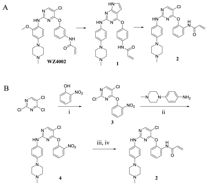 Scheme 1