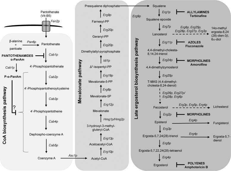 Figure 2.