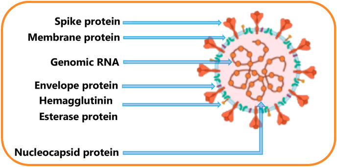 Fig. 2