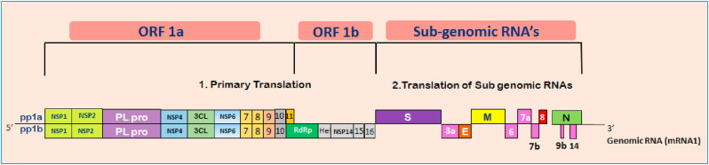 Fig. 3