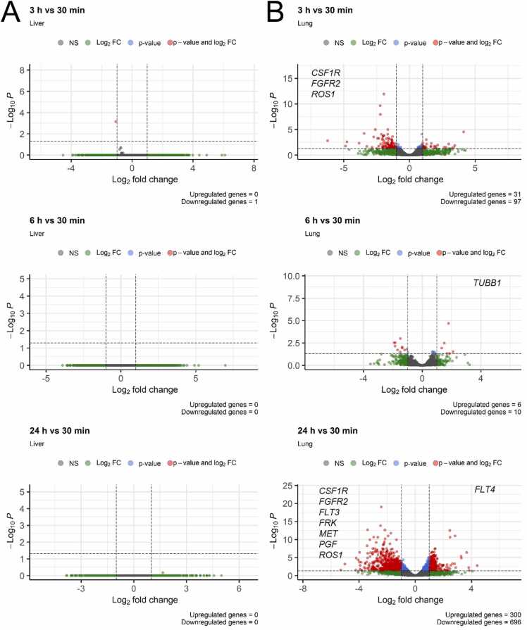 Fig. 15