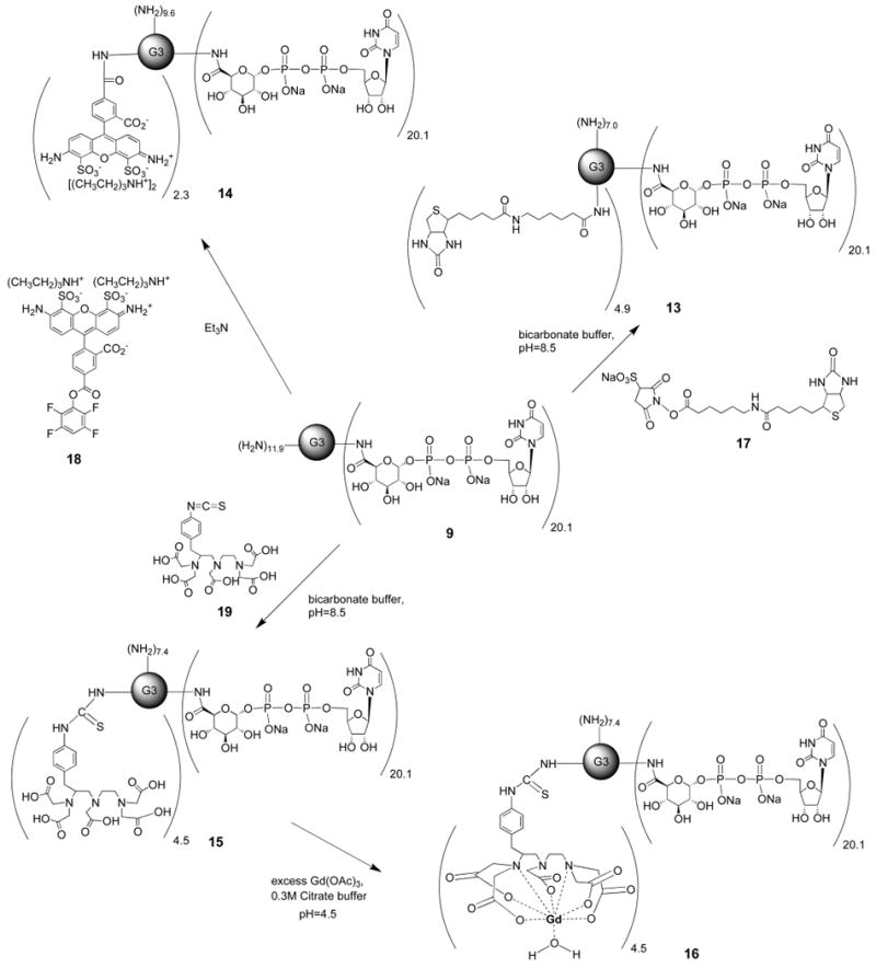 Scheme 2