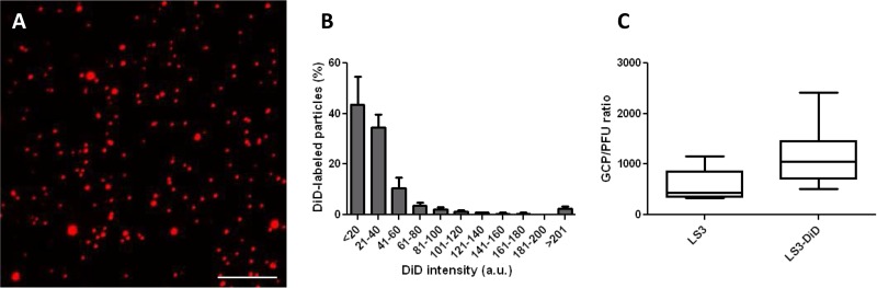 FIG 1