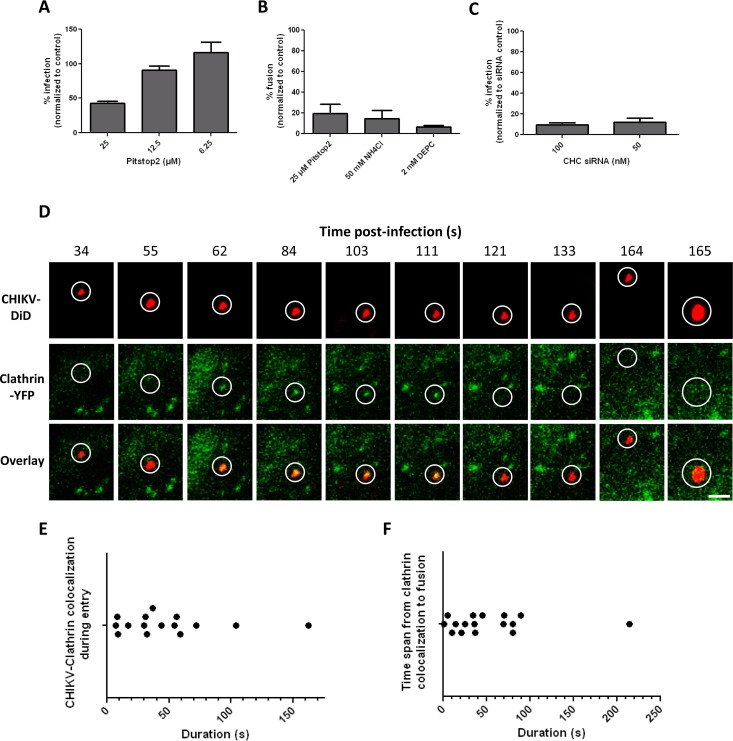 FIG 3