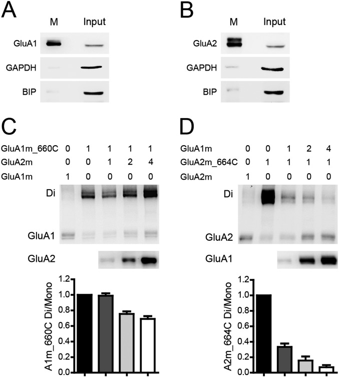 Fig. S4.