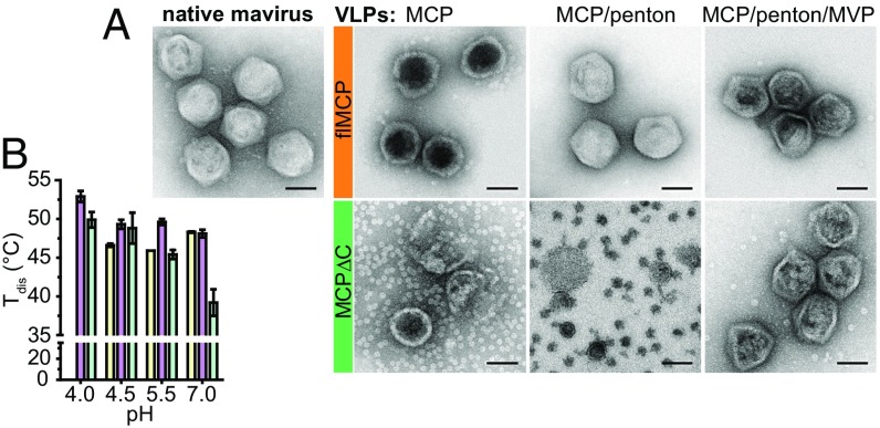 Fig. 4.