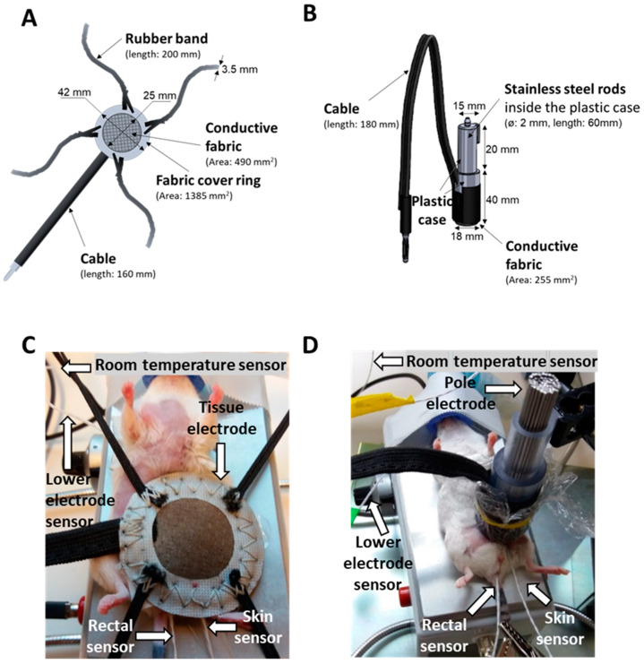 Figure 12