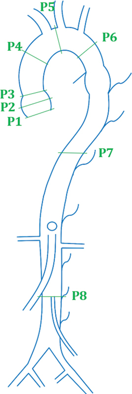 Fig. 2