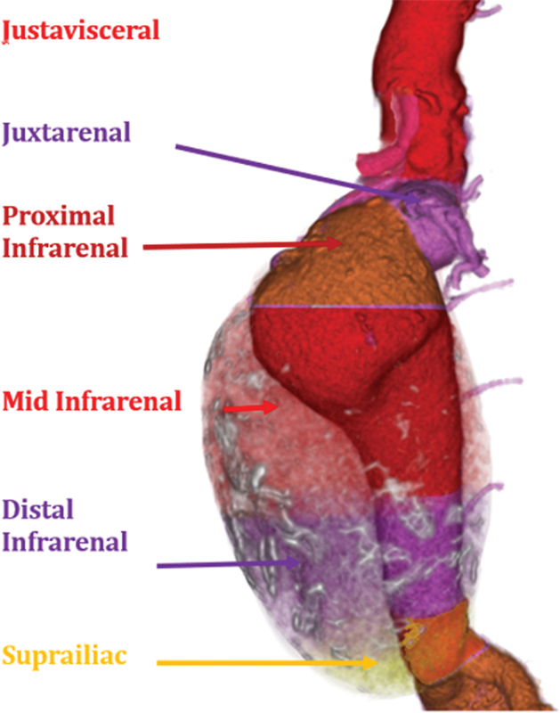 Fig. 10