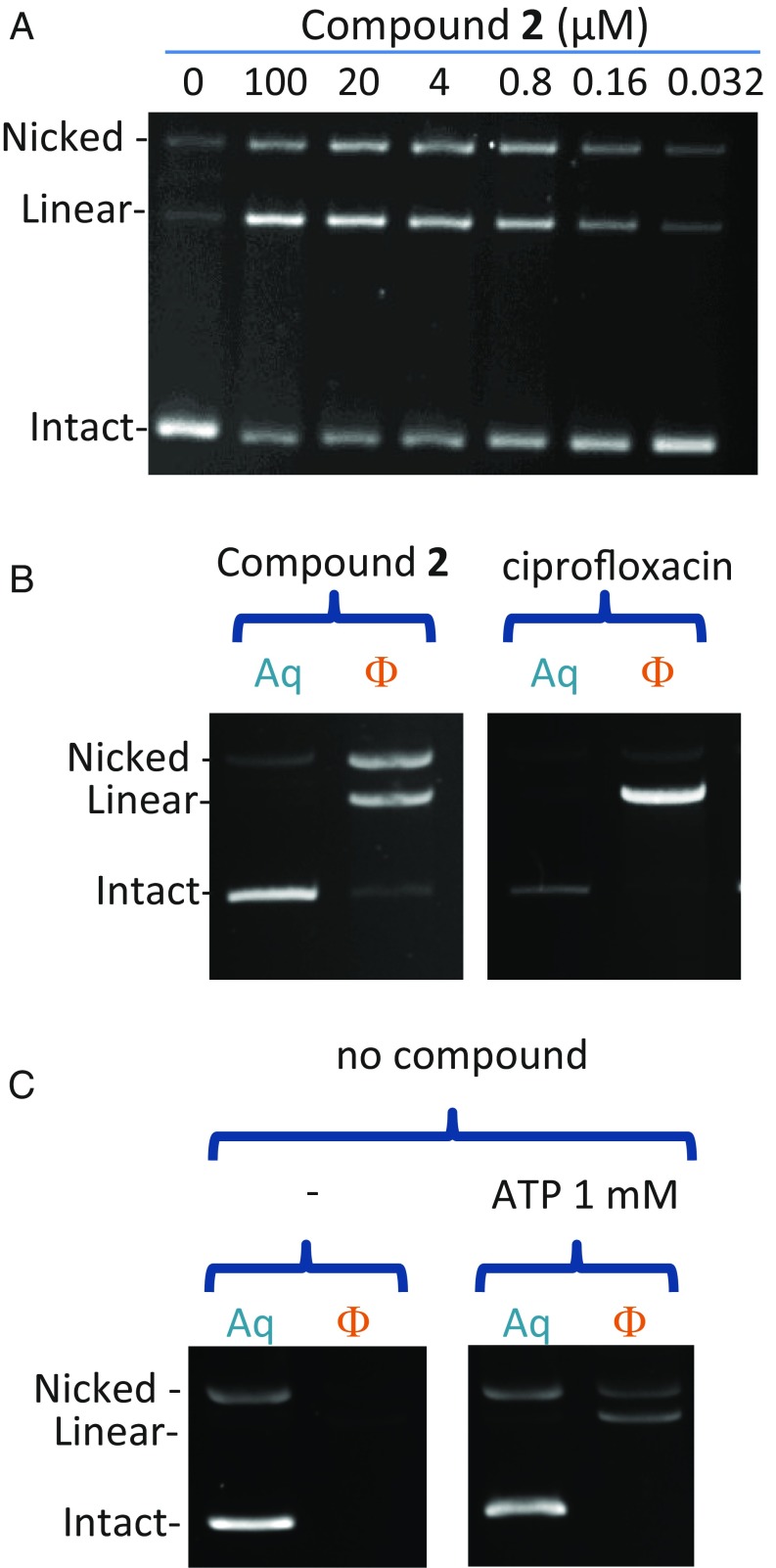 Fig. 5.