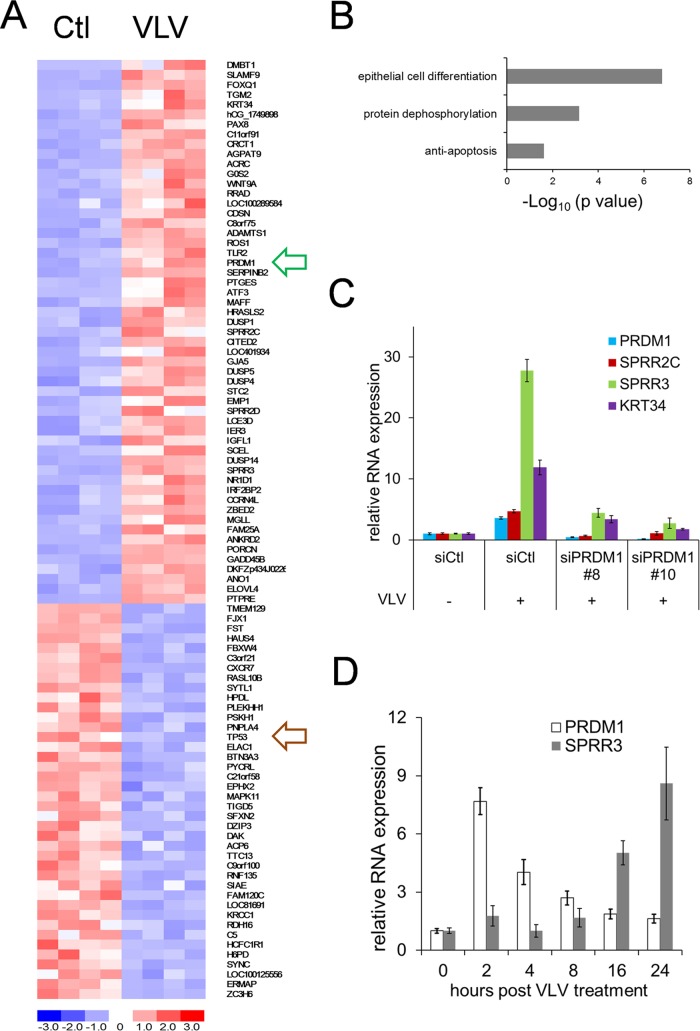 FIG 6