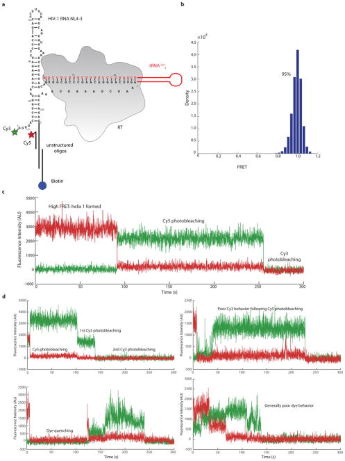 Extended Data Figure 8