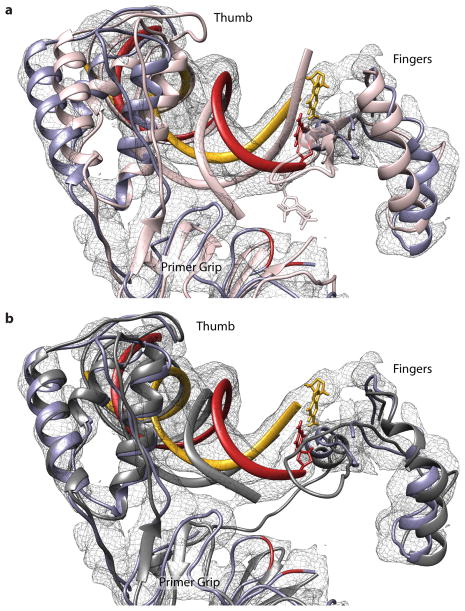 Extended Data Figure 9