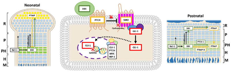 Figure 7.