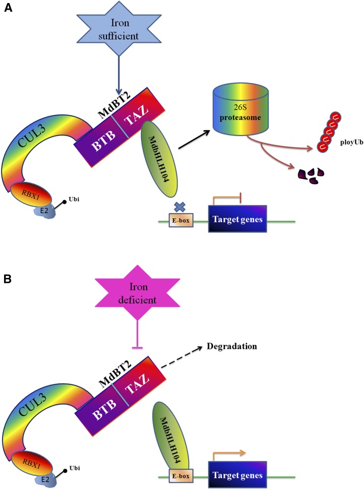 Figure 10.