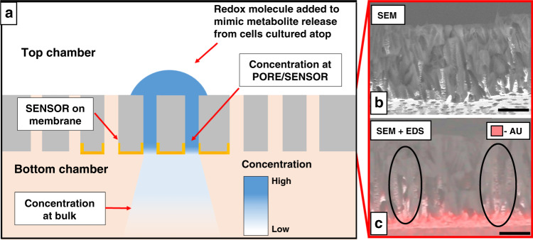 Fig. 5