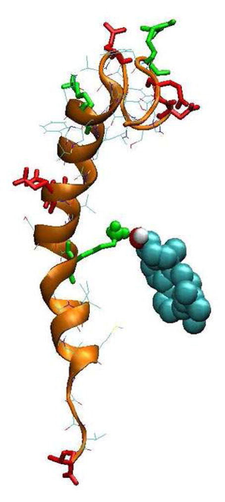 Figure 13