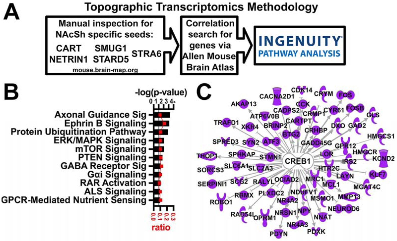 Figure 2: