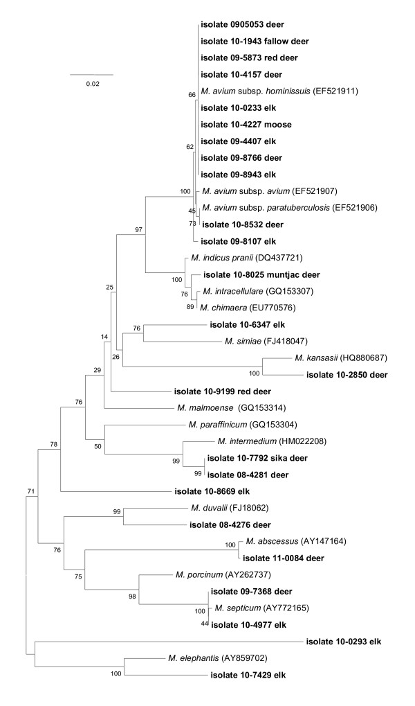 Figure 2