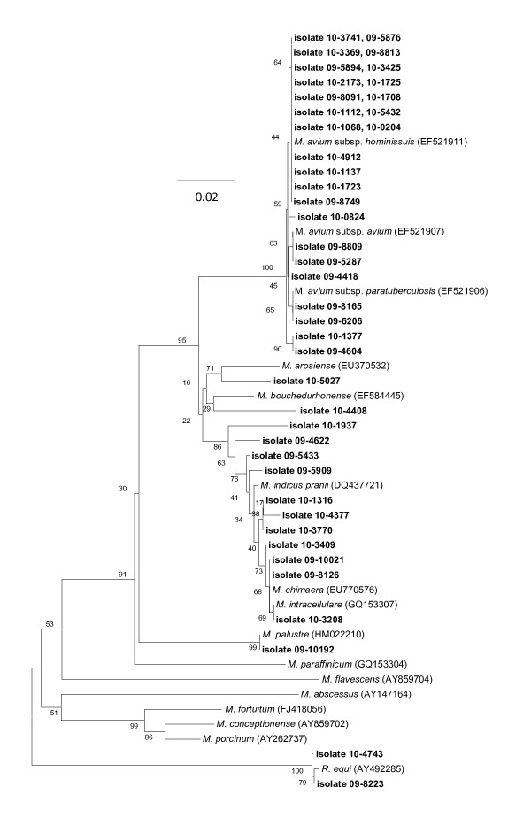 Figure 4