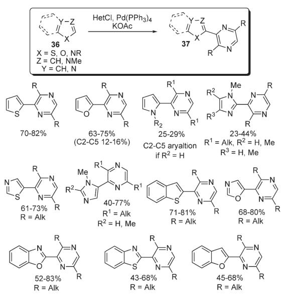 Scheme 14