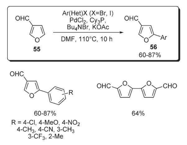 Scheme 23