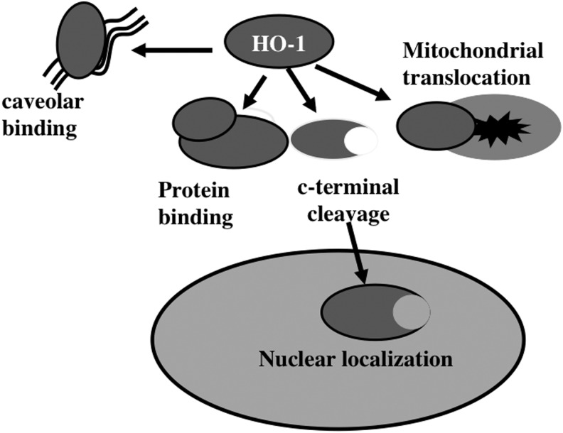 FIG. 6.