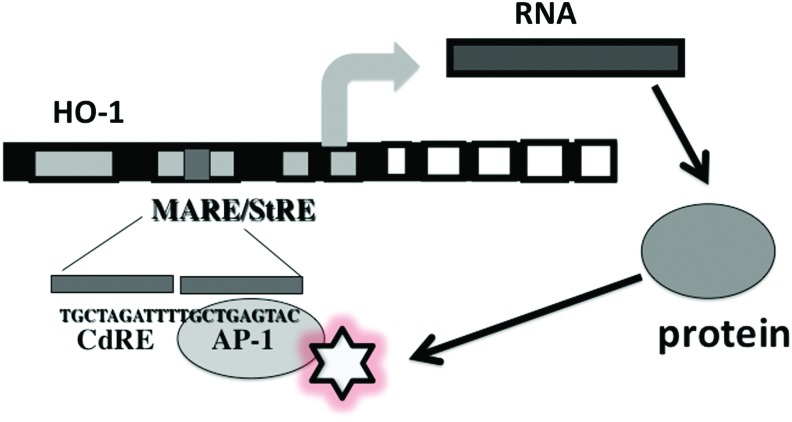 FIG. 7.