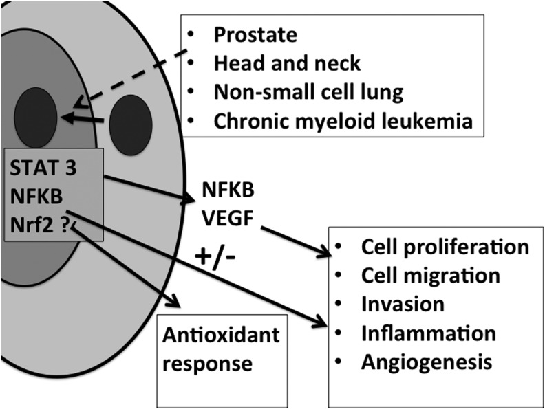 FIG. 8.