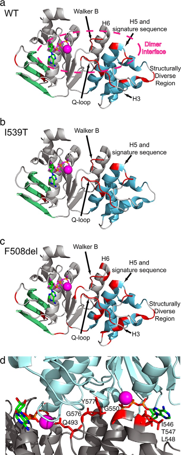 FIGURE 2.