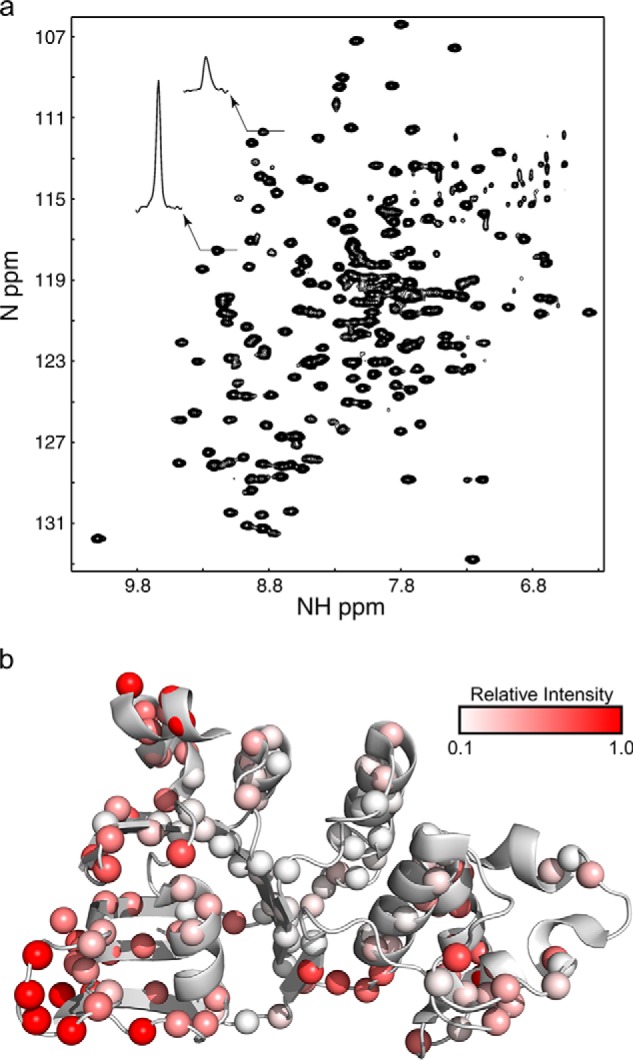 FIGURE 1.