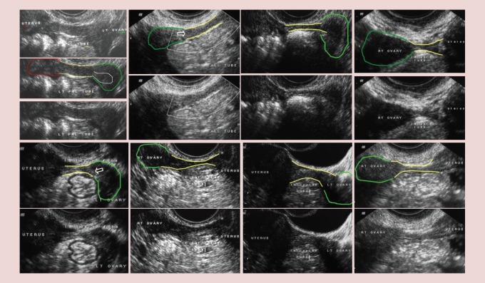 Figure 1.