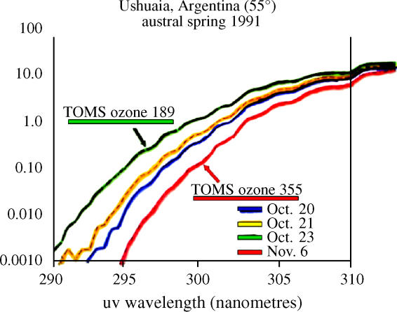 Figure 24