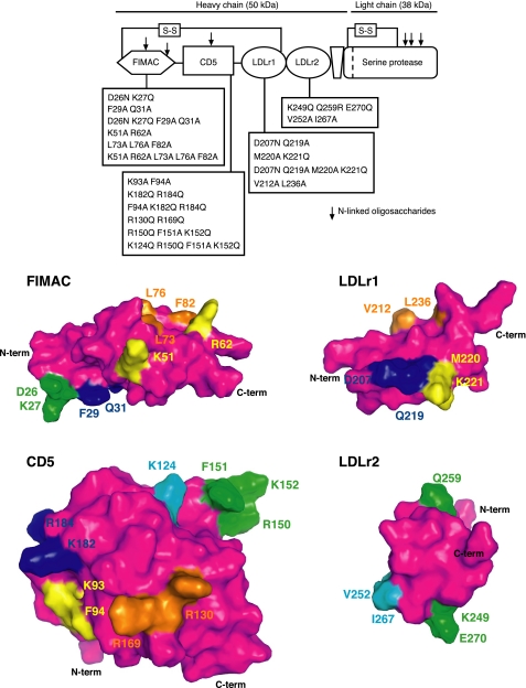 FIGURE 1.