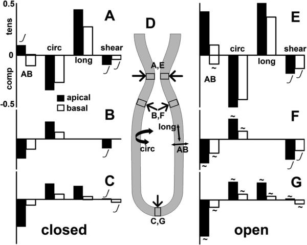 Fig 5