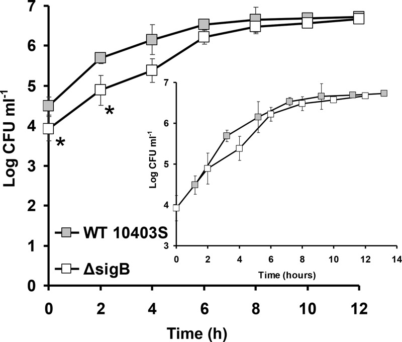 FIG 6