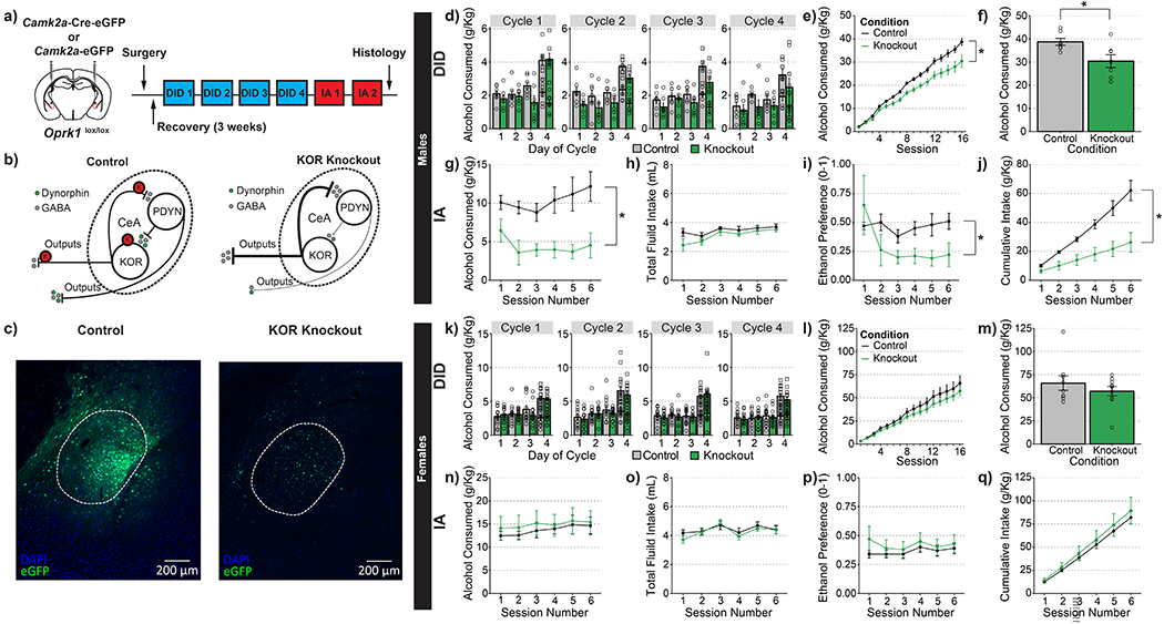 Figure 2-