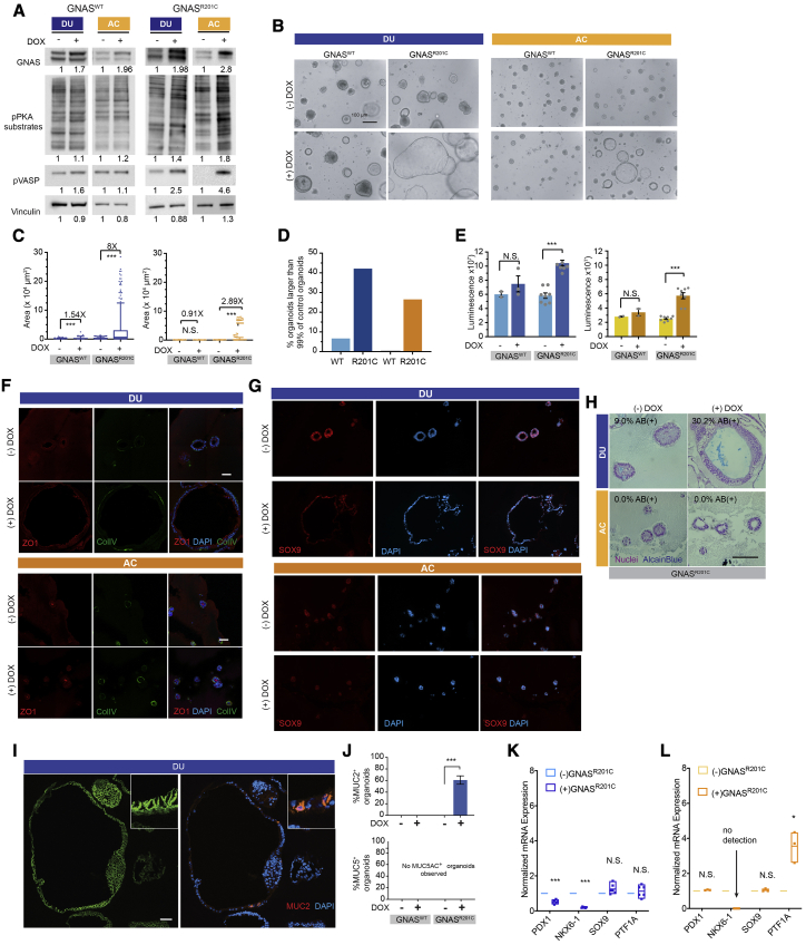 Figure 4